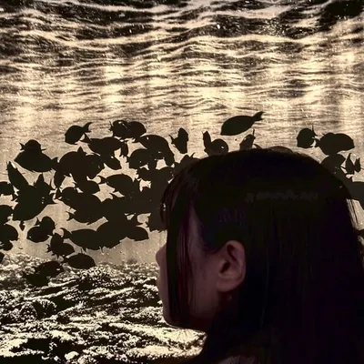 芮 profile