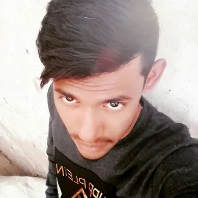 wakeel ansari profile
