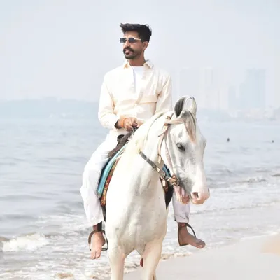 Ansh sachdeva profile