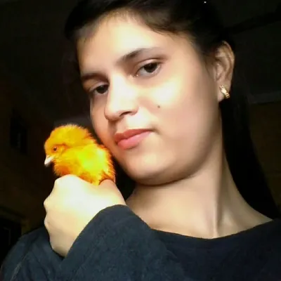 Anshika Gupta profile
