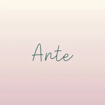 anteshop profile