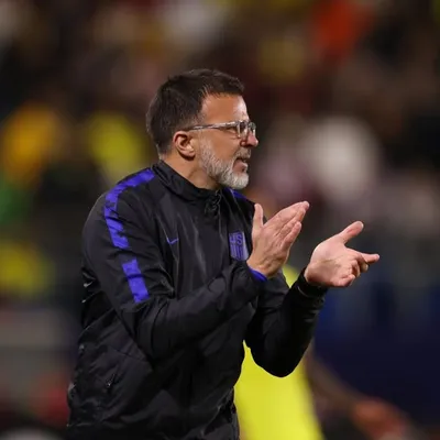 Anthony Hudson profile