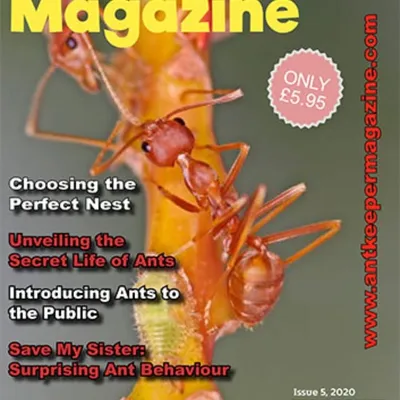 Ant Keeper Magazine profile