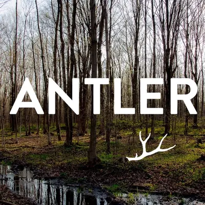 Antler profile