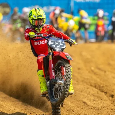 Tony Cairoli profile