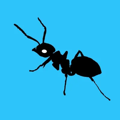 Ants Britania profile
