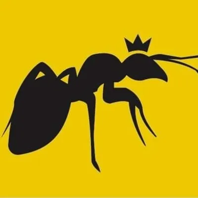 ANTS ITALIA profile