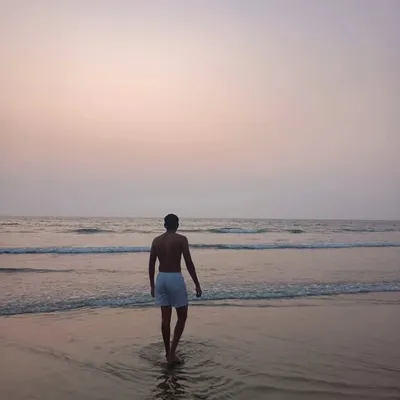 Anvesh Pareek profile