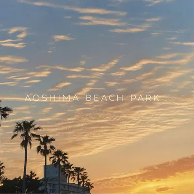 AOSHIMA BEACH PARK profile