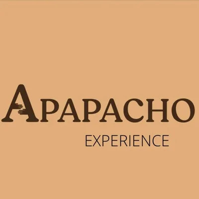 Apapacho Experience | Decoración y planeación de eventos profile