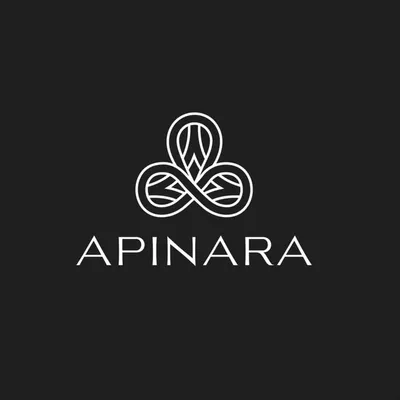 APINARA JEWELLERY profile