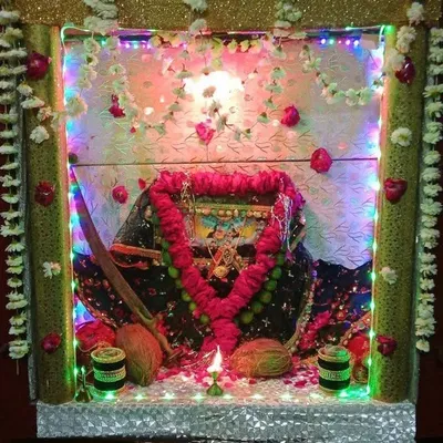 apna katni mp 21 profile
