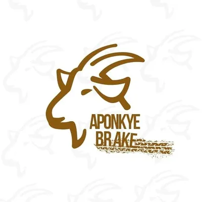 Aponkye Brake profile