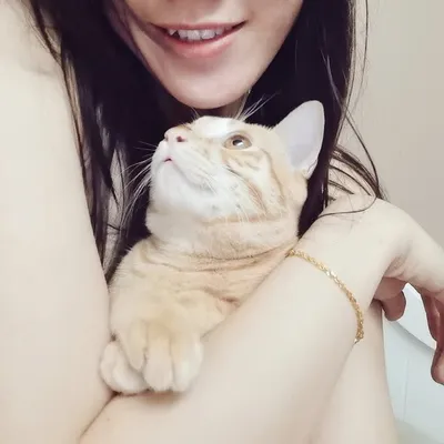 鄭莉颖 profile