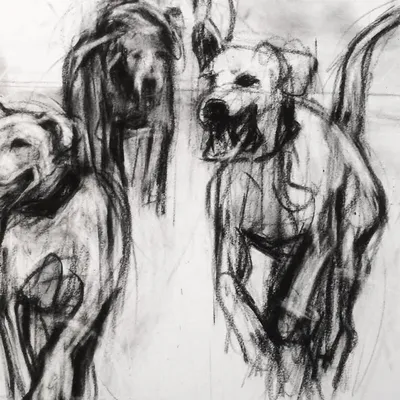 aprilcoppini profile