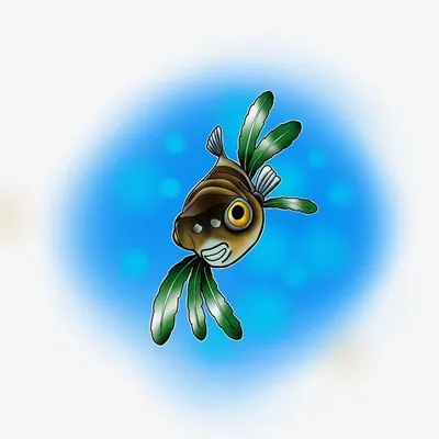 Aqua Fish and Plants profile