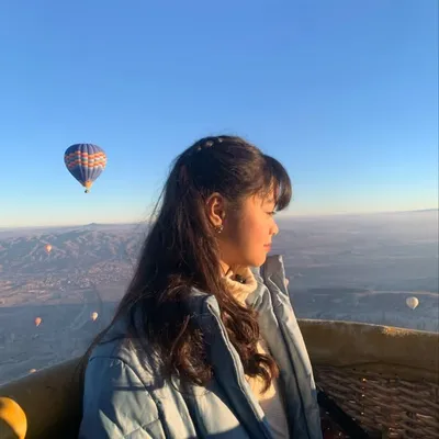 Ara profile