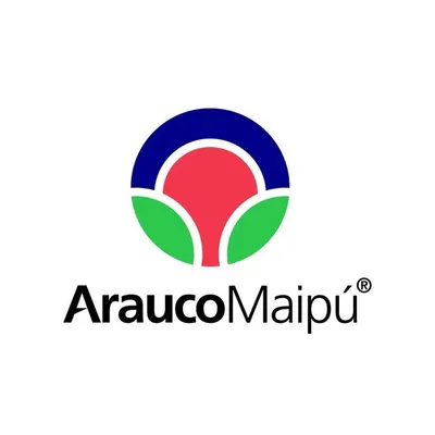 Arauco Maipú profile