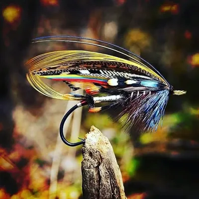 Arctic Riverside Flyfishing profile