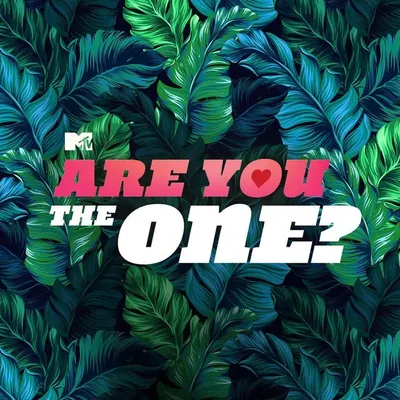 Are You The One? profile