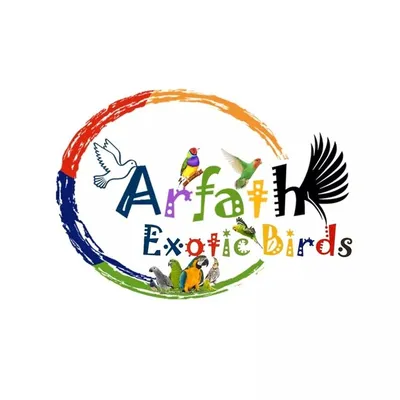 Arfath Shaikh profile