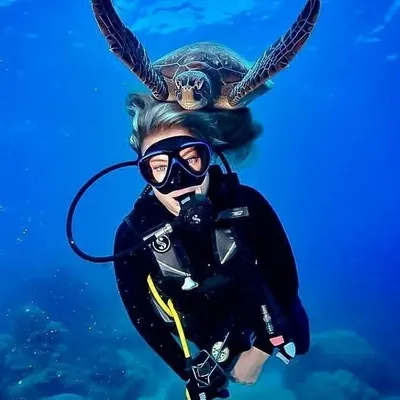 Diving ➹ Lovers profile