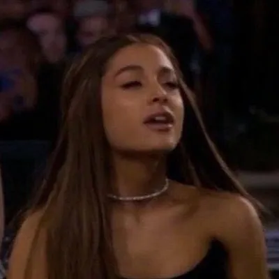arianafanswildin profile