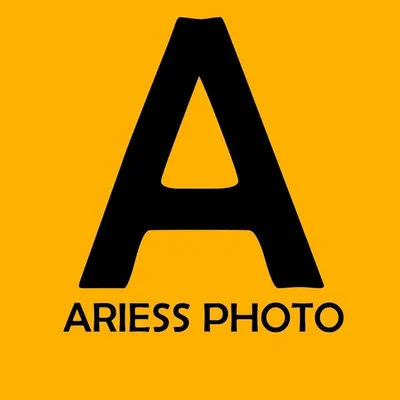 Aris Setyawan profile
