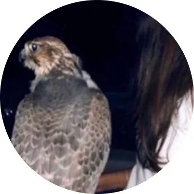 ۰۹۱۱ 𓅓. profile