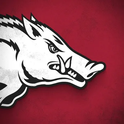 Arkansas Razorbacks profile