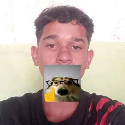 Armando profile