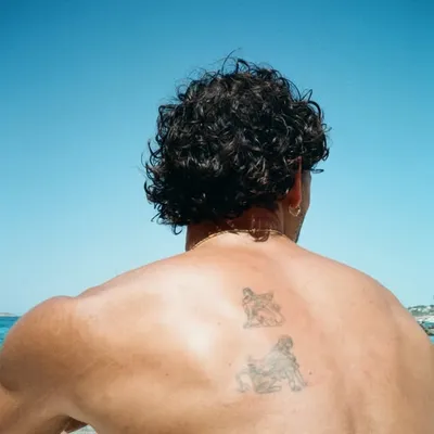 armando profile