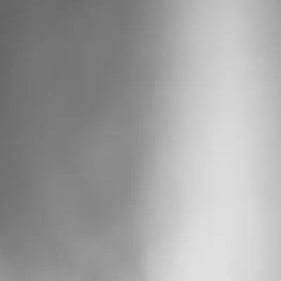 Arman profile
