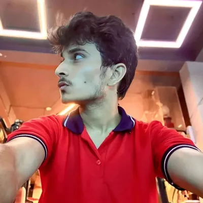 ARPIT ツ profile