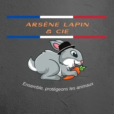 Arsène Lapin & cie profile