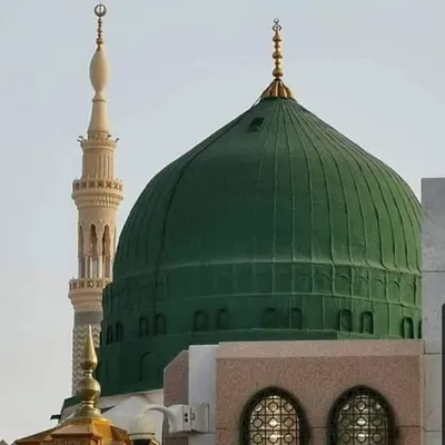 محمد أرسلان profile