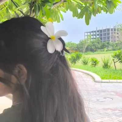 🦋 profile