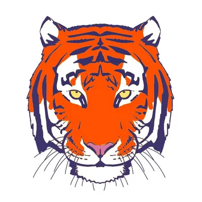Santosh Chauhan profile