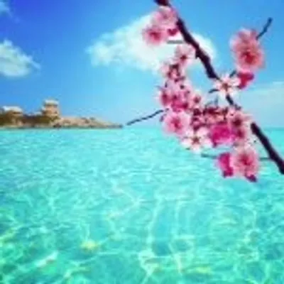 Decor | Inspiration | Travel profile