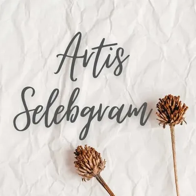 Artis Selebgram profile