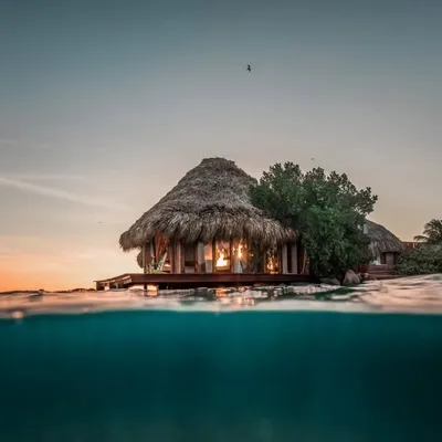 Aruba Ocean Villas profile