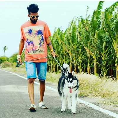 Arun Ks ๐ profile