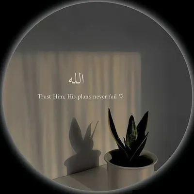 Mr_asad profile
