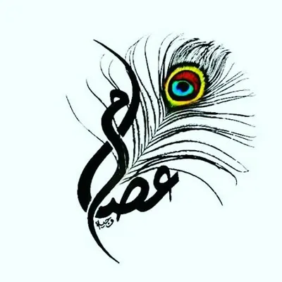 isaam profile