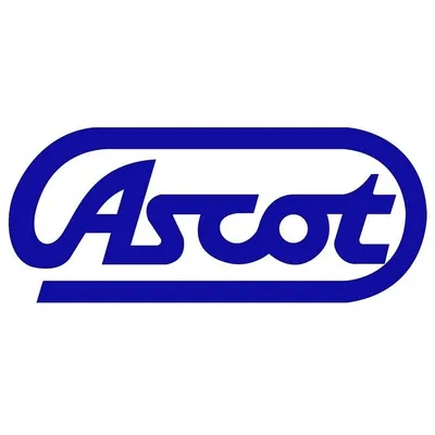 Ascot Motorsports profile