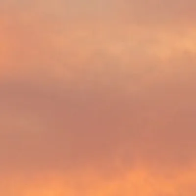 ______ profile