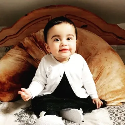 محمد أسد شحذد profile