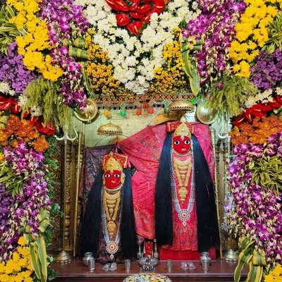 Ashapuri Dham Piplav profile