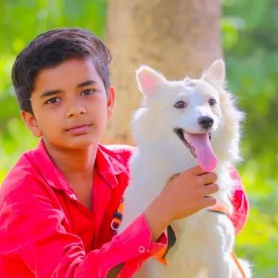 mr.ashish profile
