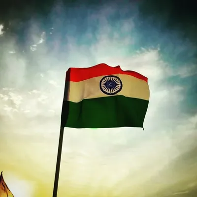 आशीष भूरीवाले profile